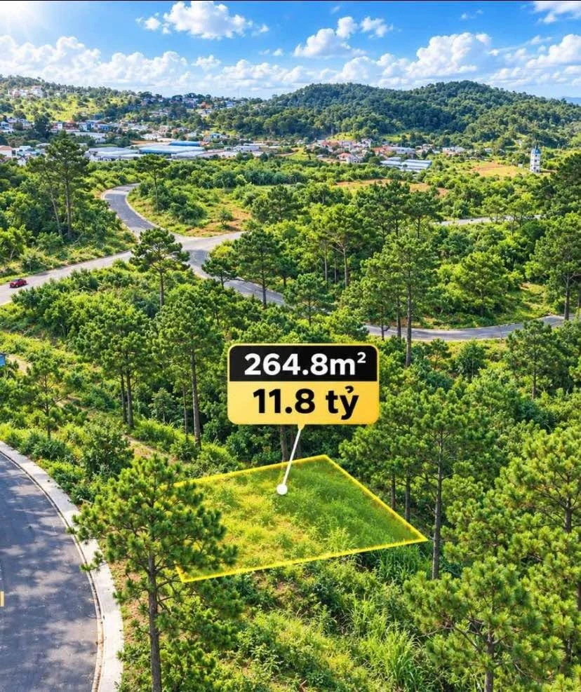 Bán lô đất An Sơn Đà Lạt 363m² sổ riêng 11.8 tỷ - Ảnh thu nhỏ 2