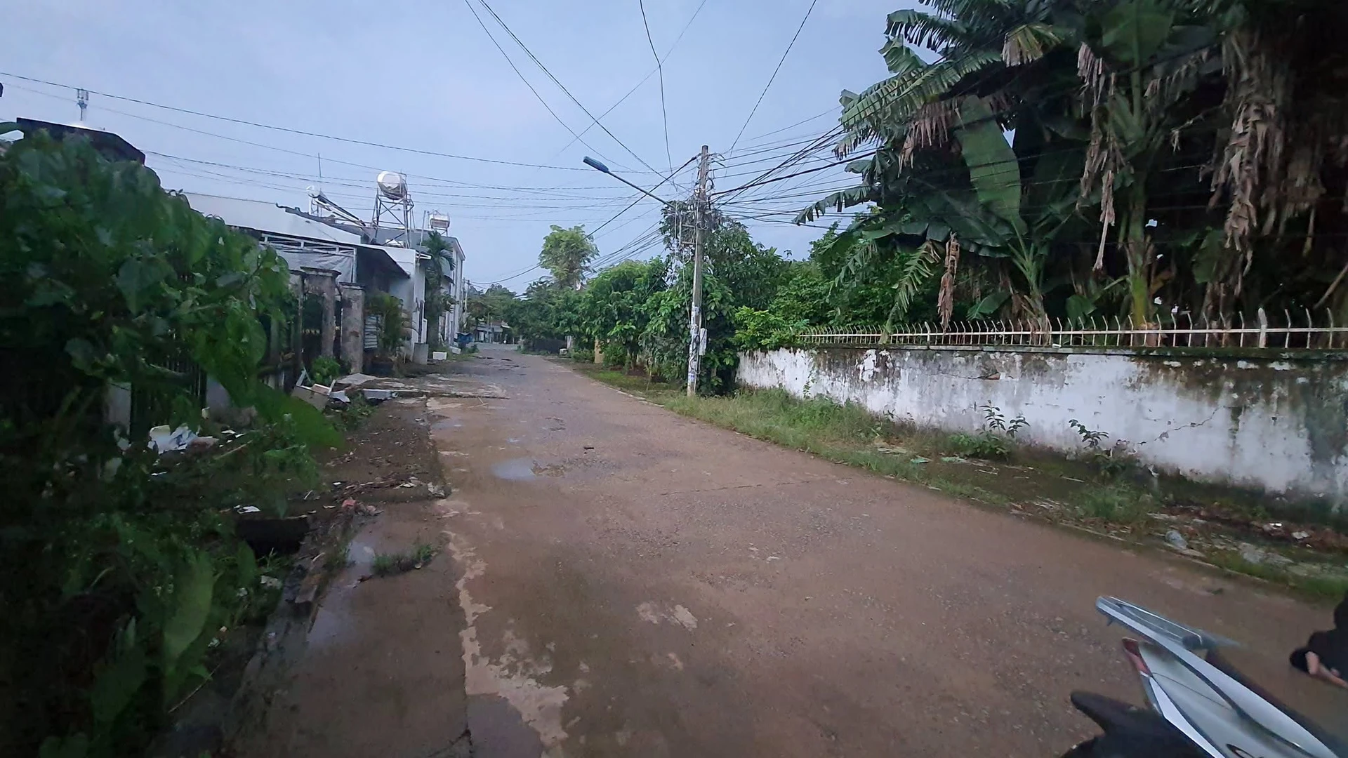 Bán đất 2 mặt tiền Tân Đông Bình Chánh - Ảnh 1