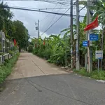 Bán đất Phước Thành Nhà Bè 250m2, giá 420 triệu - Ảnh thu nhỏ 4
