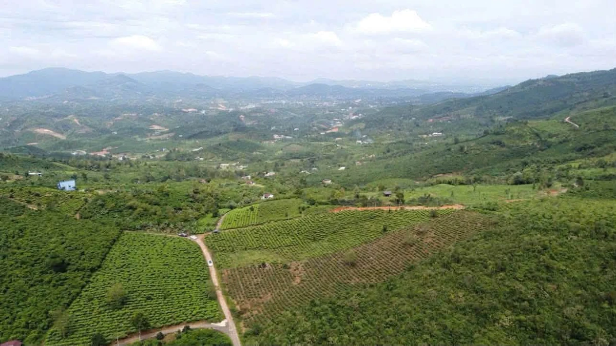 Bán đất 3330m² có 200m thổ cư 2,5 tỷ tại Bảo Lâm - Ảnh thu nhỏ 4