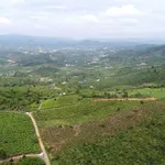 Bán đất 3330m² có 200m thổ cư 2,5 tỷ tại Bảo Lâm - Ảnh thu nhỏ 4