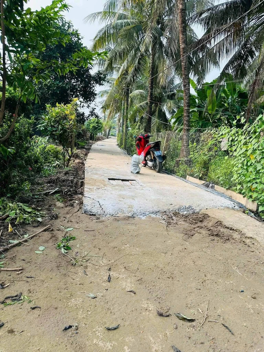 Bán đất nền thổ cư 216m2 giá 280 triệu tại Bình Phan, Chợ Gạo - Ảnh thu nhỏ 4