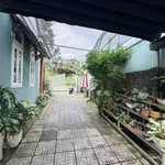 Bán nhà hoàn công mặt tiền đường Tô Hiệu với diện tích 763m2 (11,8mx72m) sẵn 187m2 thổ cư - Ảnh thu nhỏ 5