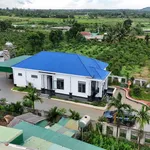 Bán nhà 1000m² có nội thất Xã Ea Kly Đắk Lắk 2,6 tỷ - Ảnh thu nhỏ 3