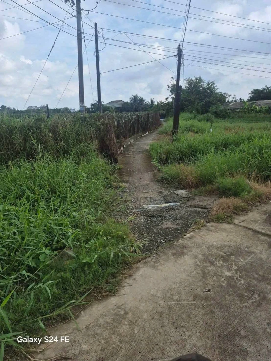 Bán 9000m² đất lúa Châu Thành Long An - Ảnh thu nhỏ 3