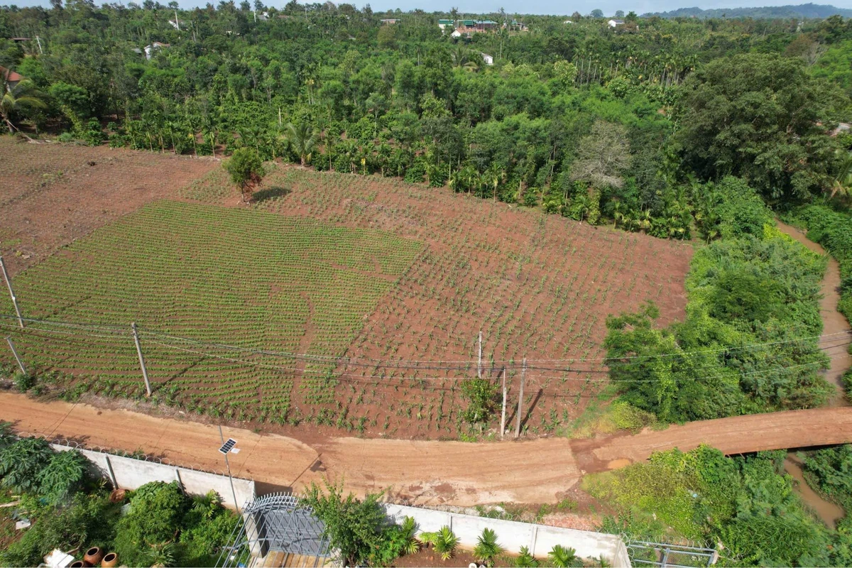 Bán đất sào view suối gần Hồ Ea Kao 1000m² - Ảnh thu nhỏ 3