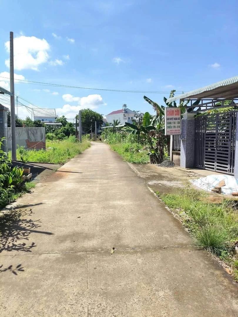 Bán đất 583m2 gần chợ Cầu 2, QL 14, Bình Chánh - Ảnh thu nhỏ 2