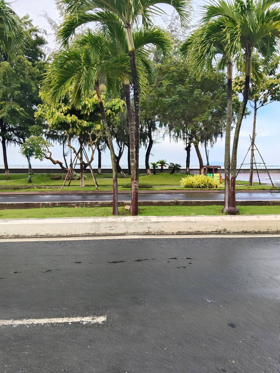Bán đất nền mặt tiền đường Tôn Đức Thắng, view biển, 262,5m2, Rạch Giá - Ảnh thu nhỏ 3