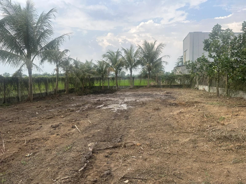 Bán đất tại Giồng Lớn, 7,5 triệu / m2, thổ cư 100%, view đẹp.
