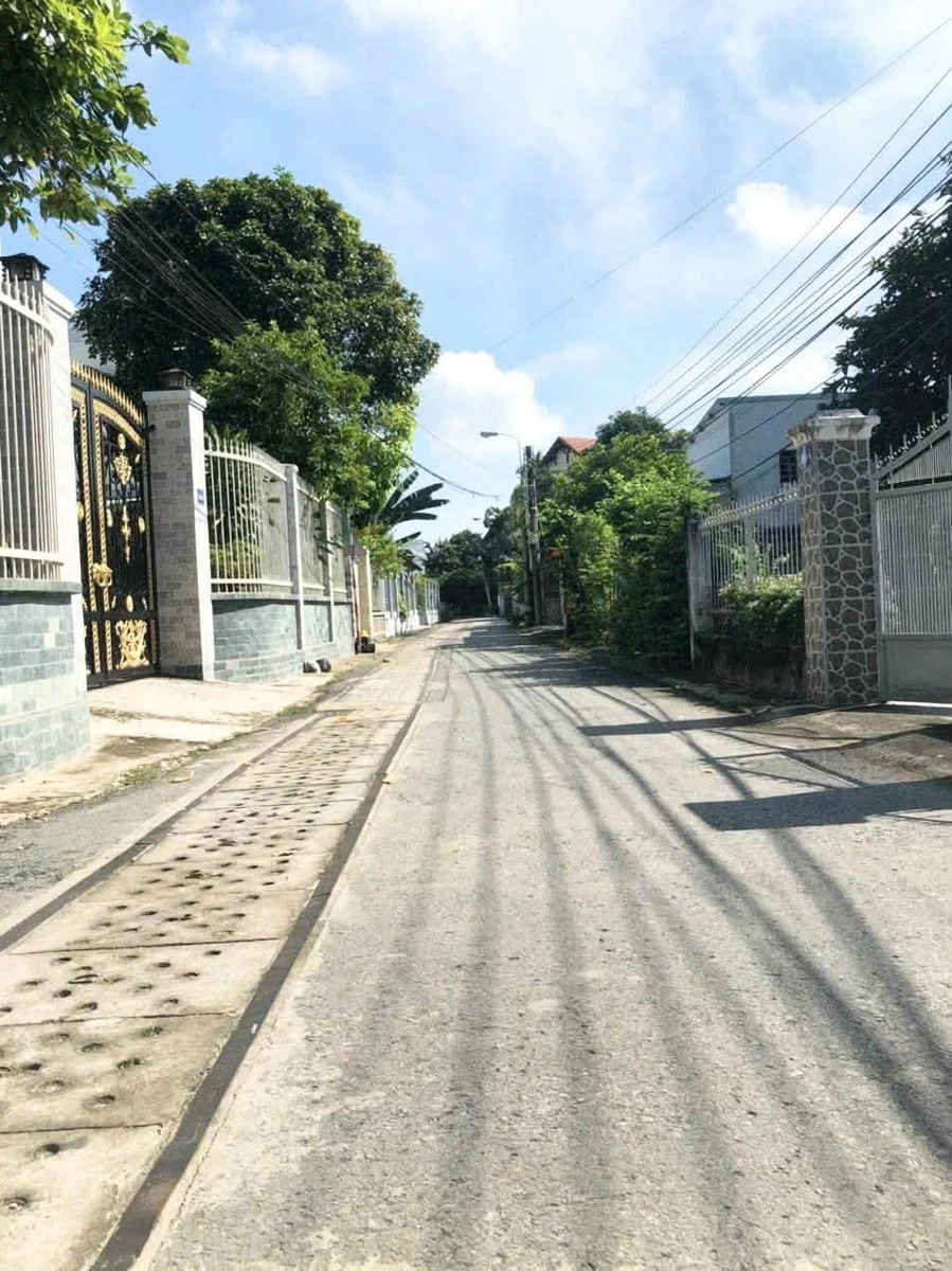Bán lô đất Chánh Mỹ 8x28m, 224m² ở Bình Tân - Ảnh thu nhỏ 3