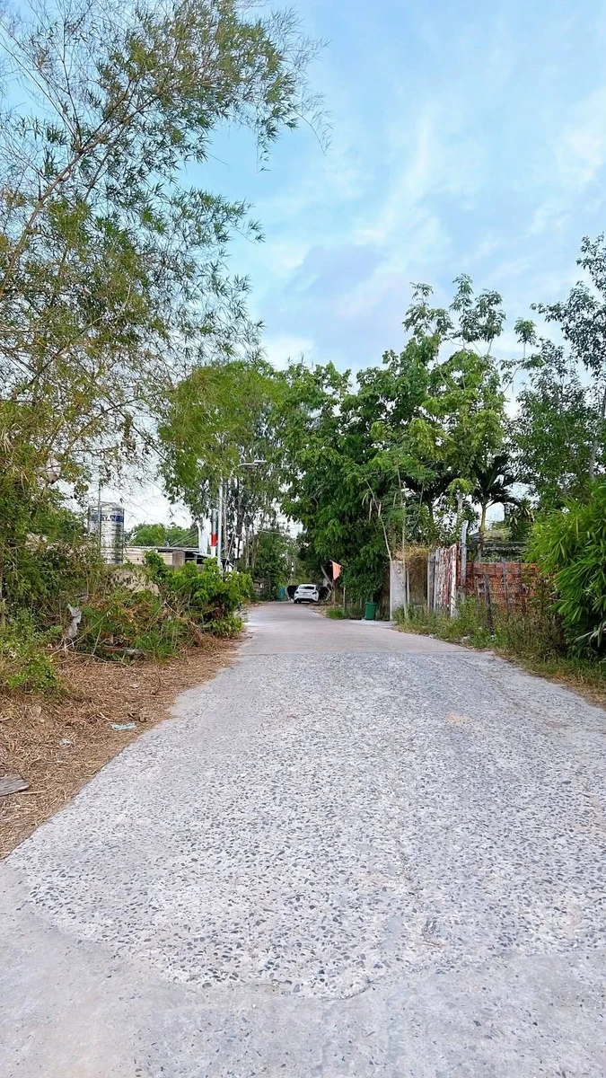 Bán đất gần 500m² full thổ cư mặt tiền Nam Kỳ Khởi Nghĩa 7 tỷ - Ảnh thu nhỏ 2