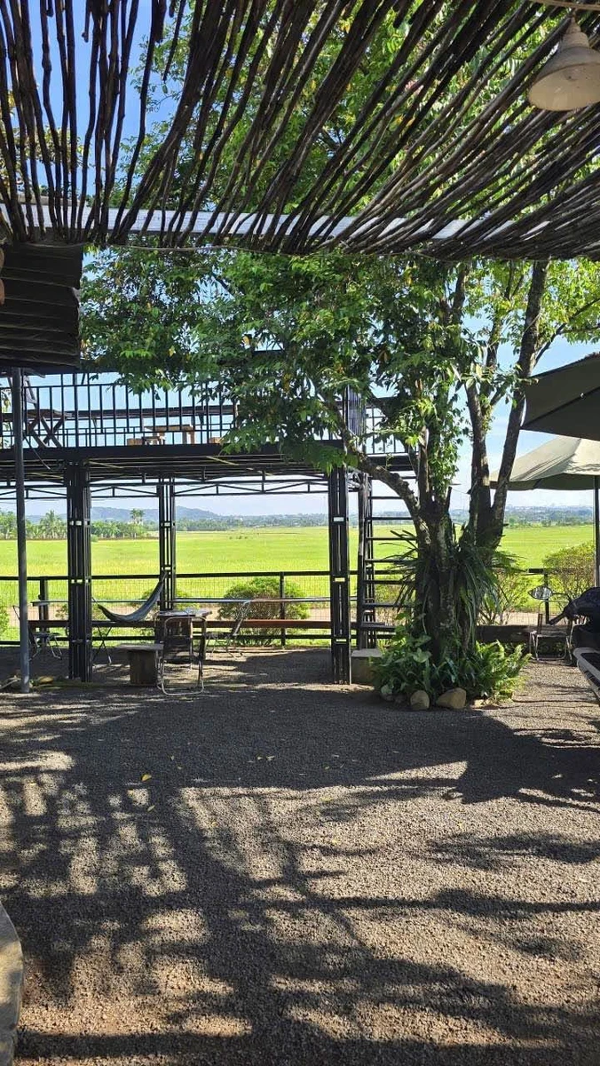 Bán đất 233m2 thổ cư 60m2 view ruộng Buôn Ma Thuột 1 tỷ 790 - Ảnh thu nhỏ 5