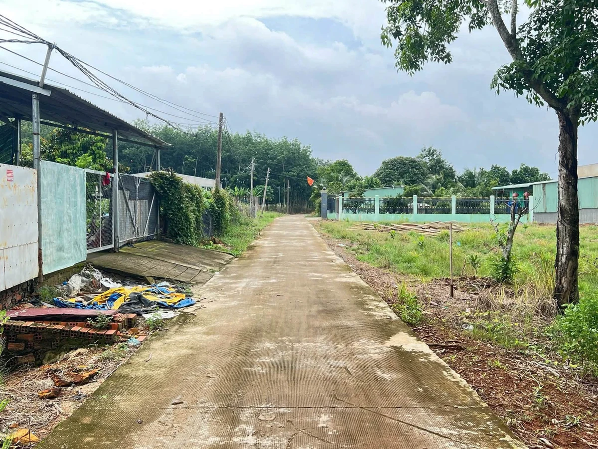 Bán đất thổ cư Tân Phước Cần Giờ 200m², 330 triệu - Ảnh thu nhỏ 2