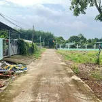 Bán đất thổ cư Tân Phước Cần Giờ 200m², 330 triệu - Ảnh thu nhỏ 2