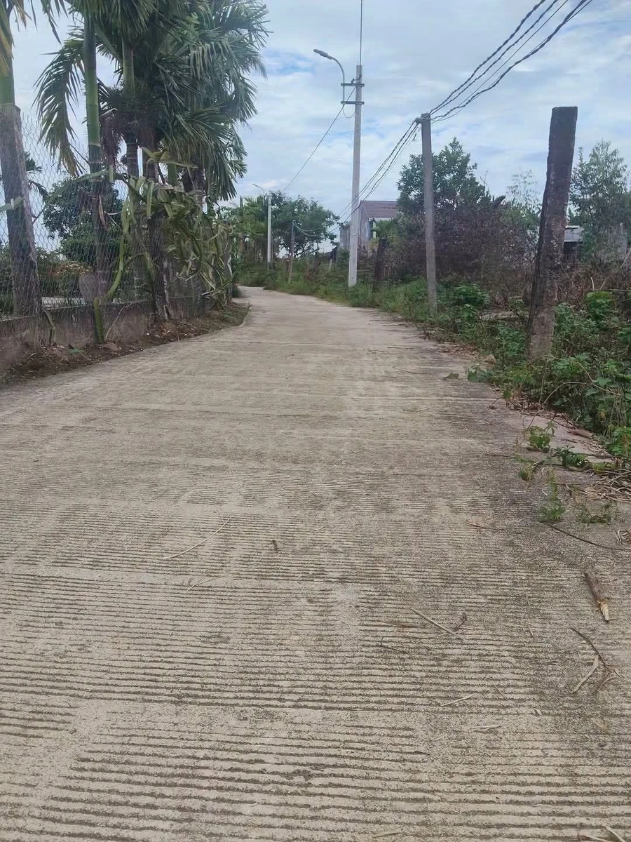 Bán đất Tịnh Ấn Tây 165m² Bình Chánh - Ảnh 1