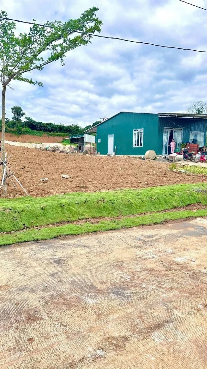 Bán đất mặt đường Tân Văn 400m² 530 triệu - Ảnh 1