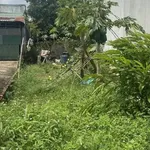 Bán đất nông nghiệp hẻm 162 Nguyễn Thị Định, 165m², 290 triệu - Ảnh thu nhỏ 2