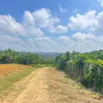 Bán lô đất 133m² view núi và TP Bảo Lộc, Lâm Đồng - Ảnh thu nhỏ 4