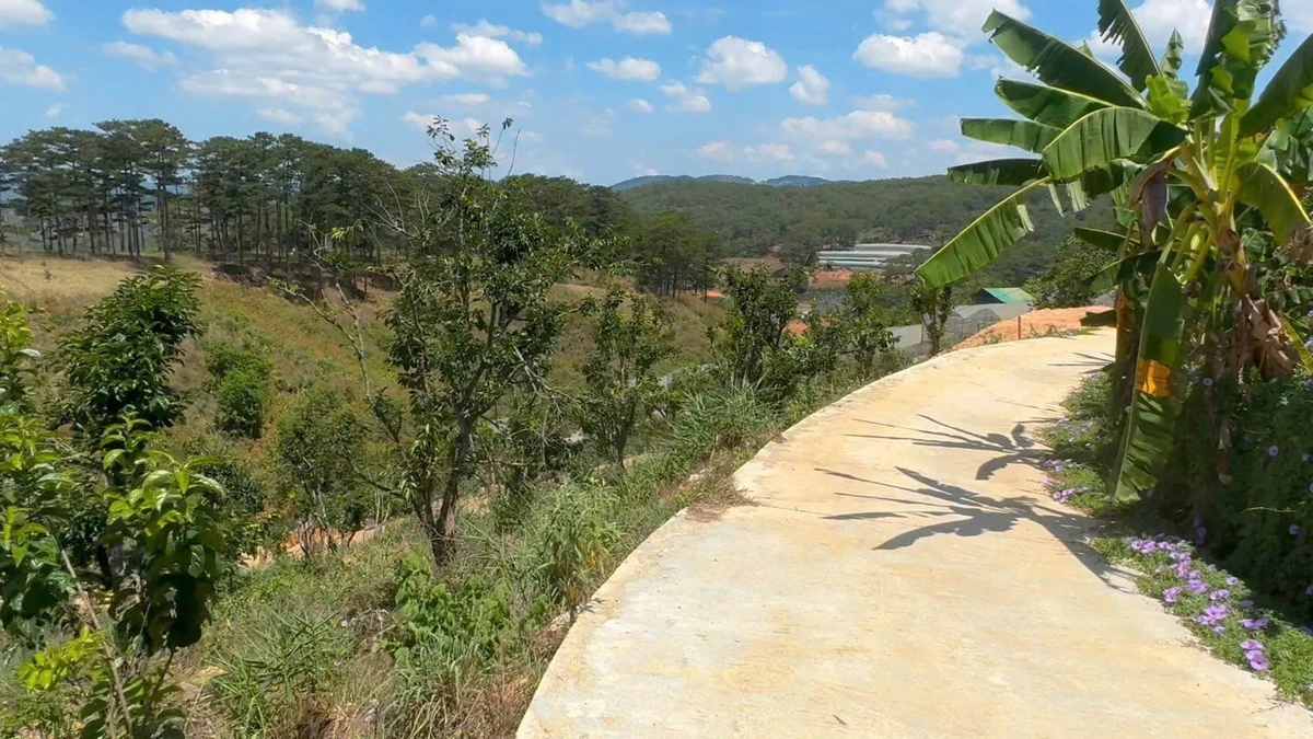 Bán đất mặt tiền QL20 Đà Lạt 11.242m2, giá 20 tỷ - Ảnh thu nhỏ 5