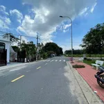 Bán đất Tân Thạnh Tây 515m² 5,5 tỷ - Ảnh thu nhỏ 3