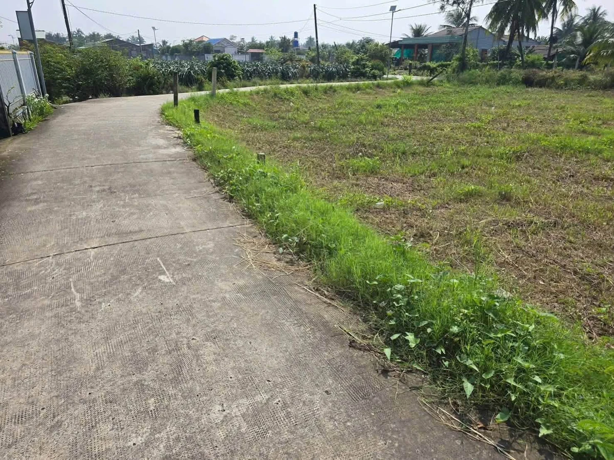 Bán 3 lô đất full thổ cư 135m² Phú Ngãi Trị, Long An - Ảnh thu nhỏ 2