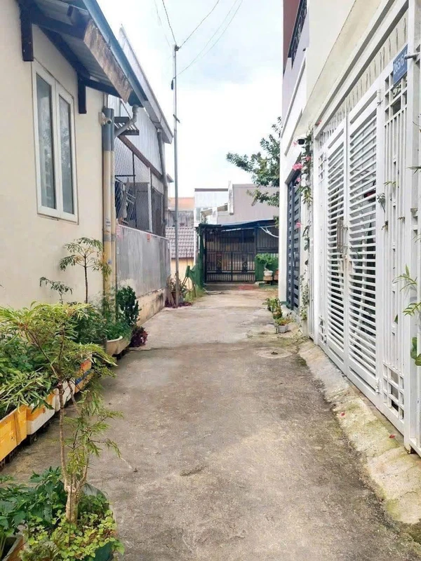 Bán đất hẻm Bùi Thị Xuân Đà Lạt 82,5m² 4.2 tỷ