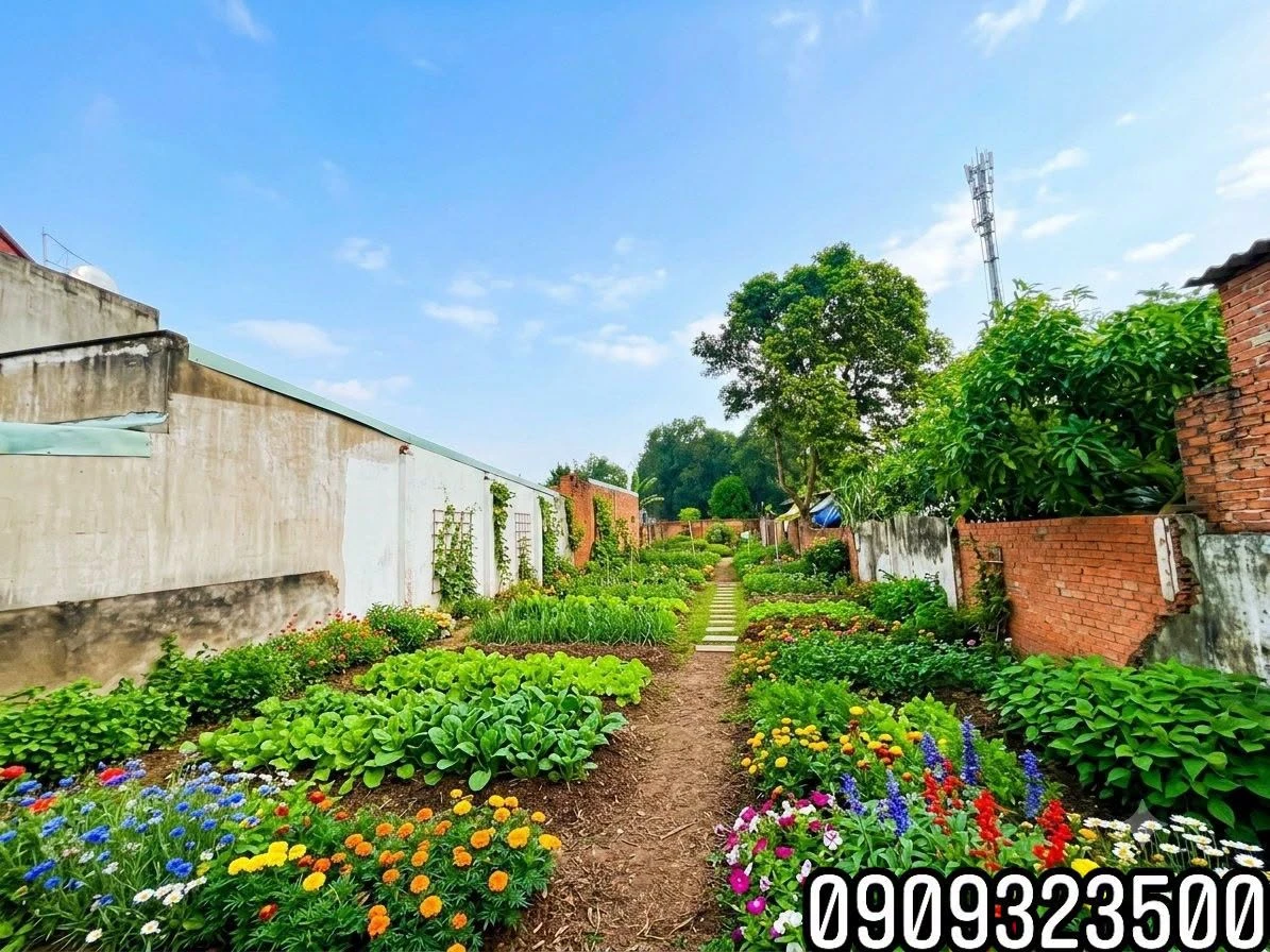 Bán đất 380m² ngang 10m Phường An Phú, 4 tỷ - Ảnh 1