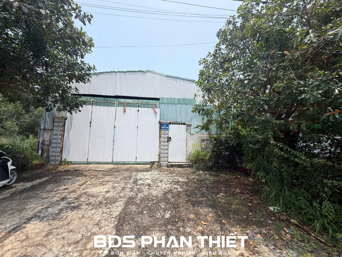 Bán đất mặt tiền Đào Duy Tùng 115m², 3,8 tỷ, Phan Thiết - Ảnh thu nhỏ 4