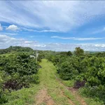 Bán 2,5ha rẫy cà phê Đắk Mil 1,799 tỷ - Ảnh thu nhỏ 1