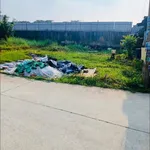 Bán đất thổ cư 8x20m gần ngã 3 Mỹ Hạnh - Ảnh thu nhỏ 1