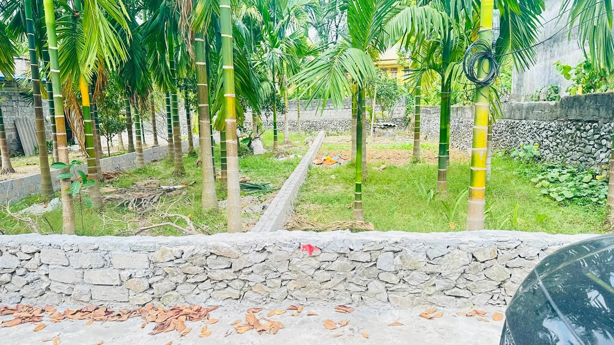 Bán đất nền 230m² tại Cao Dương, Phú Thọ - Ảnh thu nhỏ 2