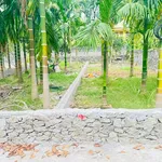 Bán đất nền 230m² tại Cao Dương, Phú Thọ - Ảnh thu nhỏ 2