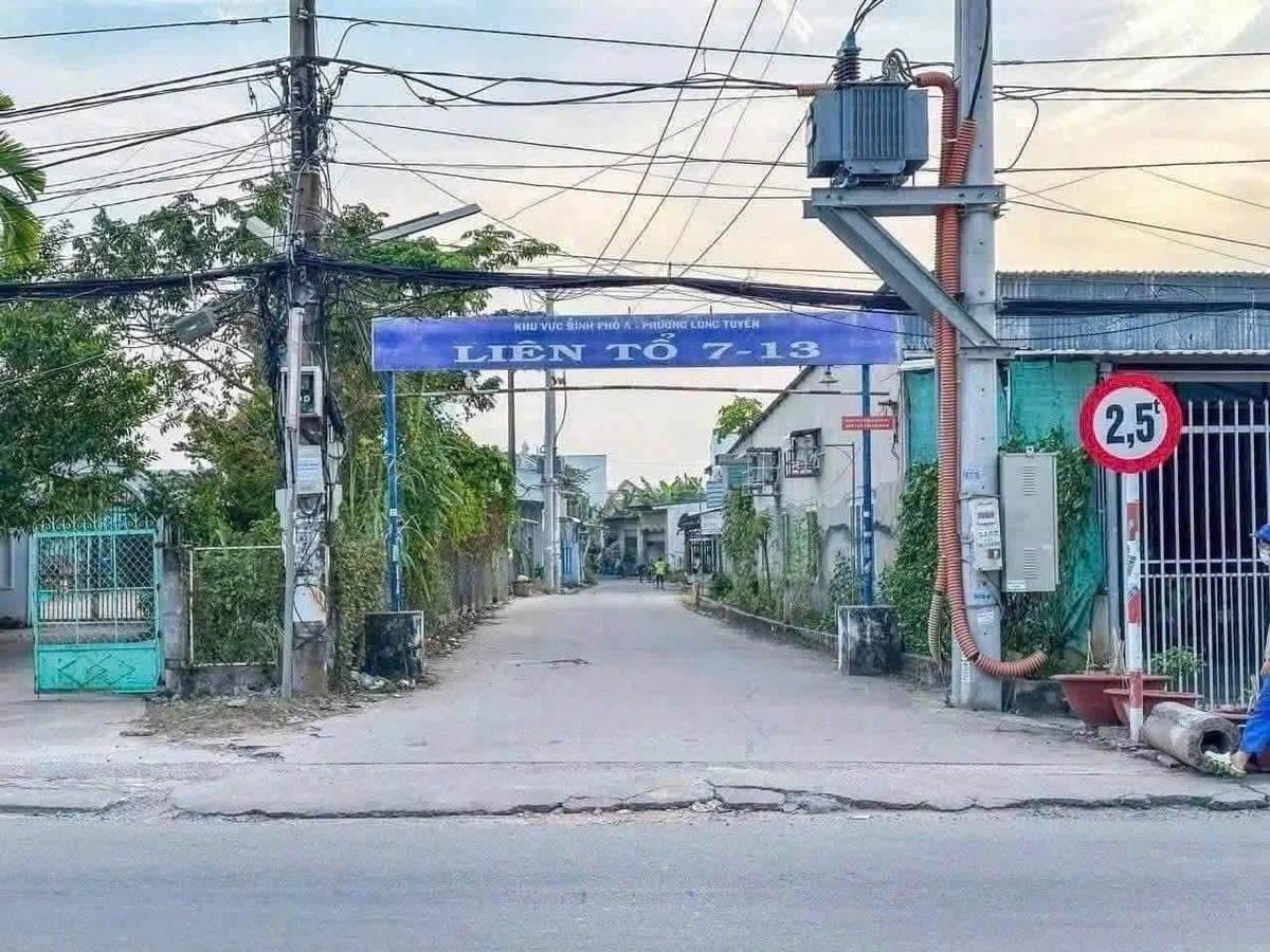 Bán nền 113m² đường Nguyễn Văn Linh, Bình Tân - Ảnh 1