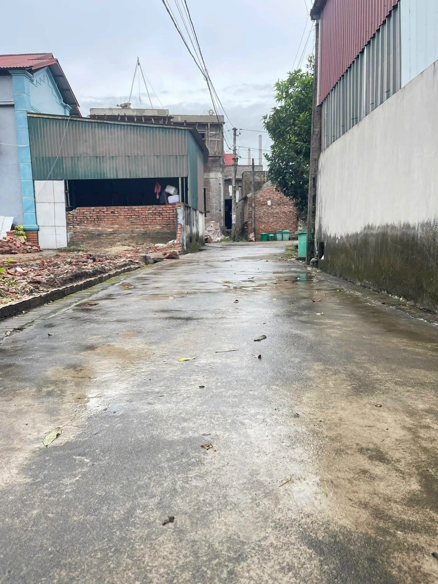 Bán đất Cẩm Giàng 100m² mặt tiền 4,5m, 1 tỷ 4 - Ảnh thu nhỏ 3