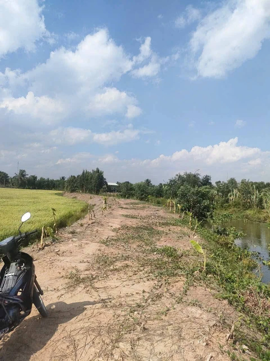 Bán 23.040m² đất lúa ở Bình Hòa Bắc, Tây Ninh - Ảnh thu nhỏ 3