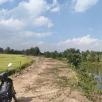 Bán 23.040m² đất lúa ở Bình Hòa Bắc, Tây Ninh - Ảnh thu nhỏ 3