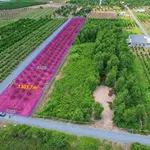Bán đất vườn 1303m² 2 mặt tiền Bình Đức, Tây Ninh - Ảnh thu nhỏ 1