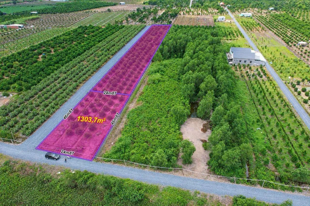 Bán đất vườn 1303m² 2 mặt tiền Bình Đức, Tây Ninh - Ảnh 1