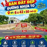 Bán đất thổ cư 12.600m² mặt tiền đường Đồng Nai hơn 1 tỷ - Ảnh thu nhỏ 4