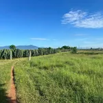 Bán đất kèm nhà cấp 4, 1161m2, Tuyên Quang, Lâm Đồng - Ảnh thu nhỏ 4