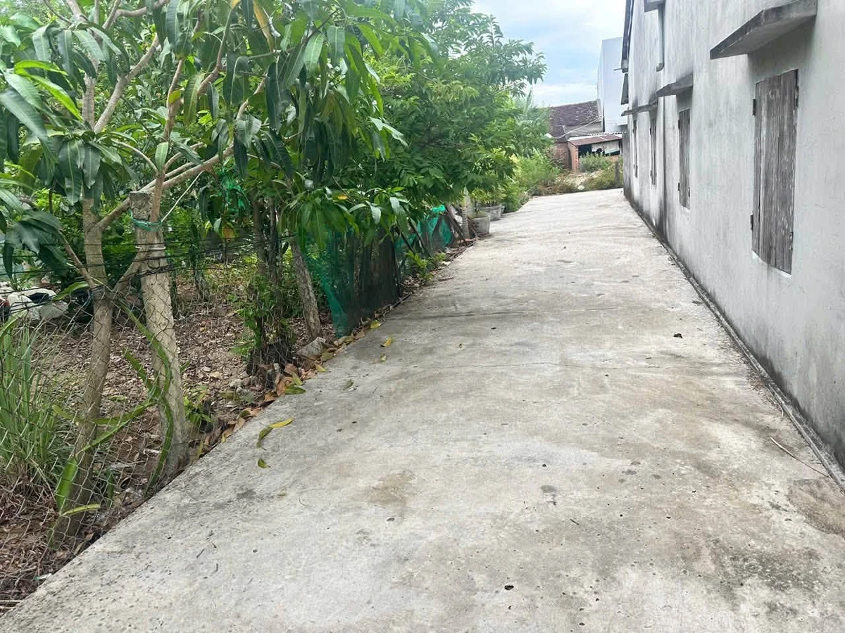 Bán đất 396m² tặng nhà cấp 4 Đắk Lắk 1 tỷ 2 - Ảnh thu nhỏ 2