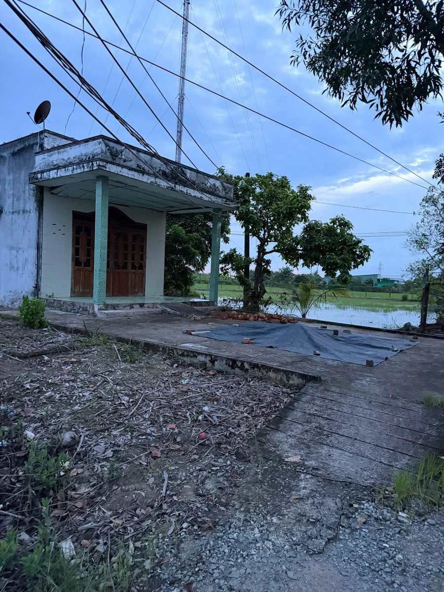 Bán nhà cấp 4 có 2 PN, 921 m² Nguyễn Đại Thời Nhà Bè - Ảnh thu nhỏ 2
