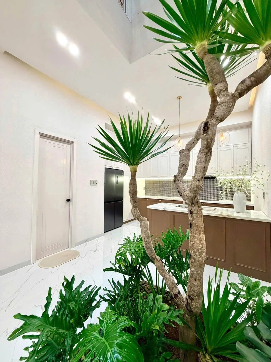 Bán nhà mặt tiền đường Xuân Diệu 1 trệt 2 lầu, 4PN, giá 8,39 tỷ, Phường Tân Lợi - Ảnh thu nhỏ 4