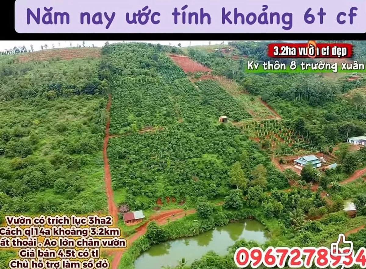 Bán vườn 3.2 ha Thôn 8 Trường Xuân 4.3 tỷ - Ảnh 1