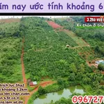 Bán vườn 3.2 ha Thôn 8 Trường Xuân 4.3 tỷ - Ảnh thu nhỏ 1