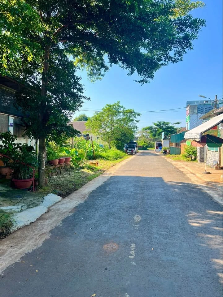 Bán 2 lô đất 6x50m Buôn Ma Thuột, 300m2, 1 tỷ 480 - Ảnh 1