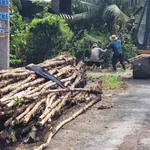 Bán đất giá rẻ đường 3/2 cặp bên công an huyện Huyện Châu Thành cũ - Ảnh thu nhỏ 2