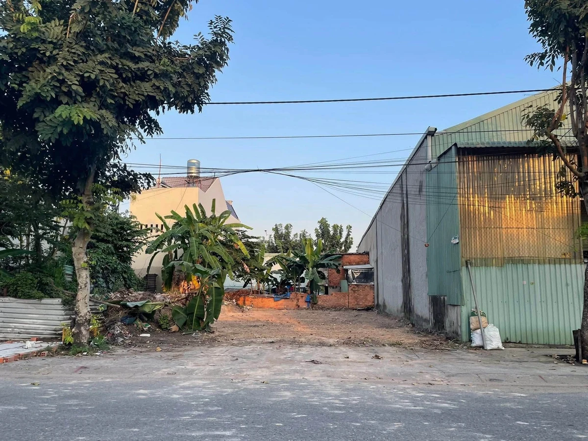 Bán đất 100m² Bình Dương Bình Chánh 2 tỷ - Ảnh thu nhỏ 4