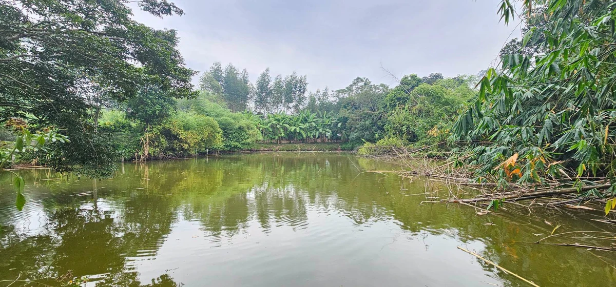 Bán đất vườn 1.800m² tại Yên Thế, Bắc Ninh, giá 1 tỷ - Ảnh thu nhỏ 2