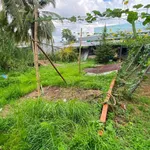 Bán nền mặt tiền Bờ Dừa 115m2 Bến Tre 820 triệu - Ảnh thu nhỏ 1